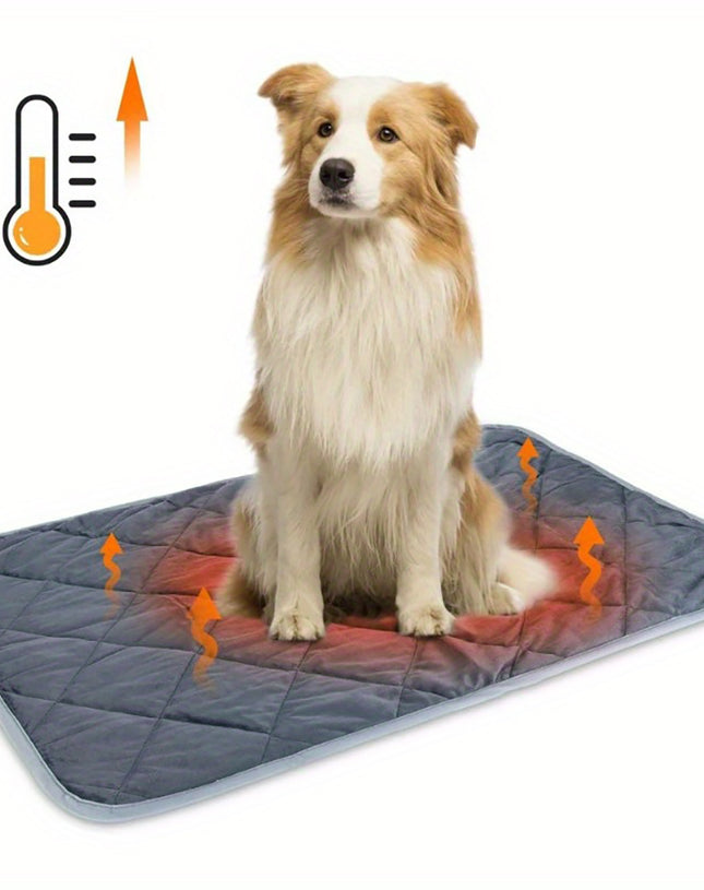 Cat Dog Non-Slip Mat