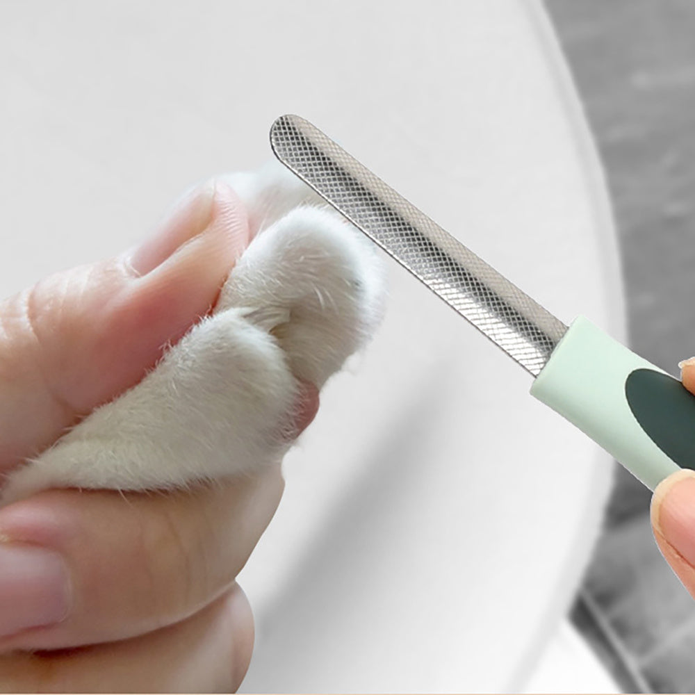 Dog Clippers, Professional Dog Grooming Kit, Cordless Dog Grooming Clippers