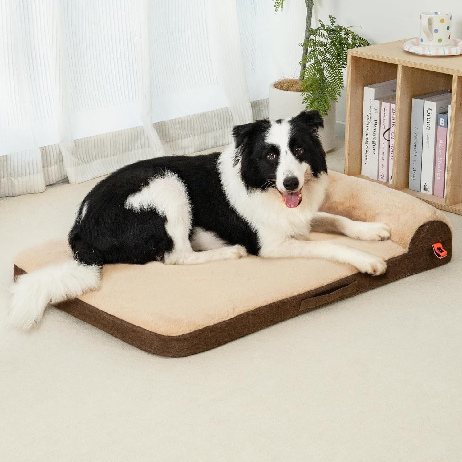 MEWOOFUN Orthopedic Dog Bed For Medium Dogs