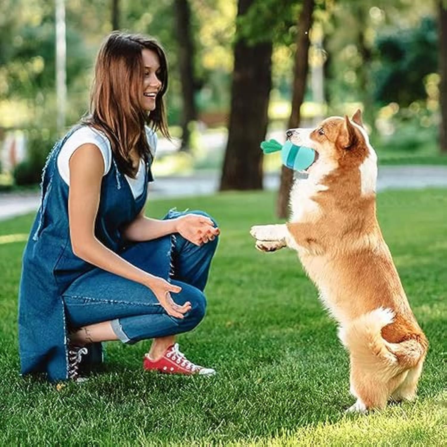 Interactive Treat Dispensing Dog Puzzle Toy