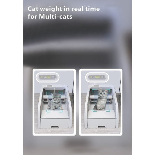 Smart Cat Litter Box