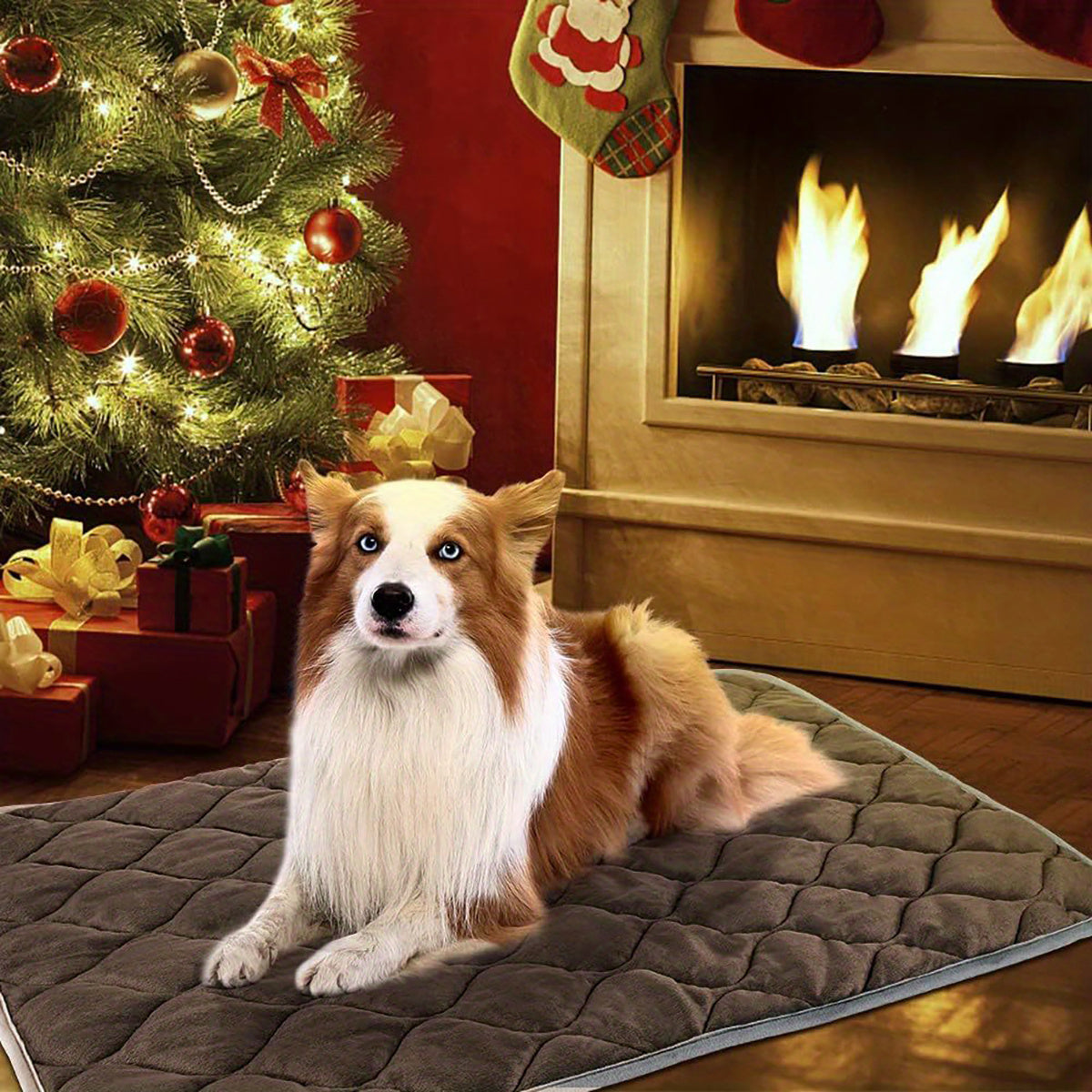 Cat Dog Non-Slip Mat