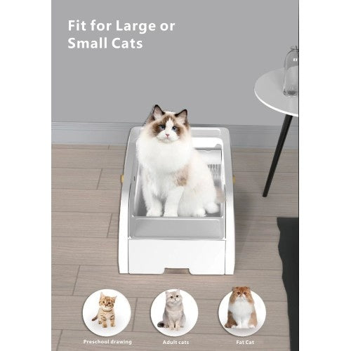 Smart Cat Litter Box