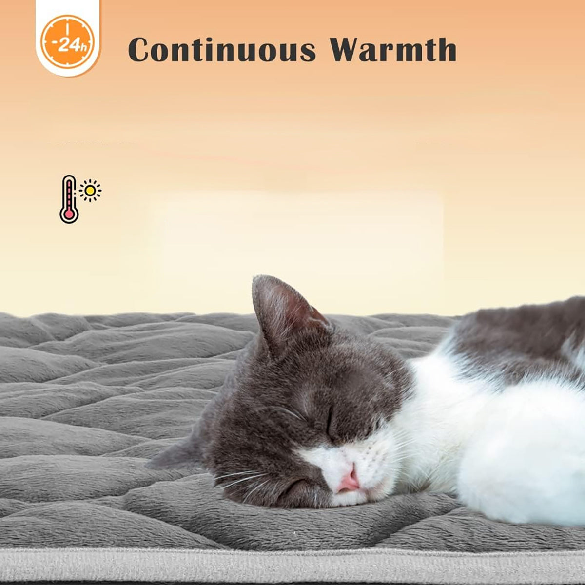Cat Dog Non-Slip Mat