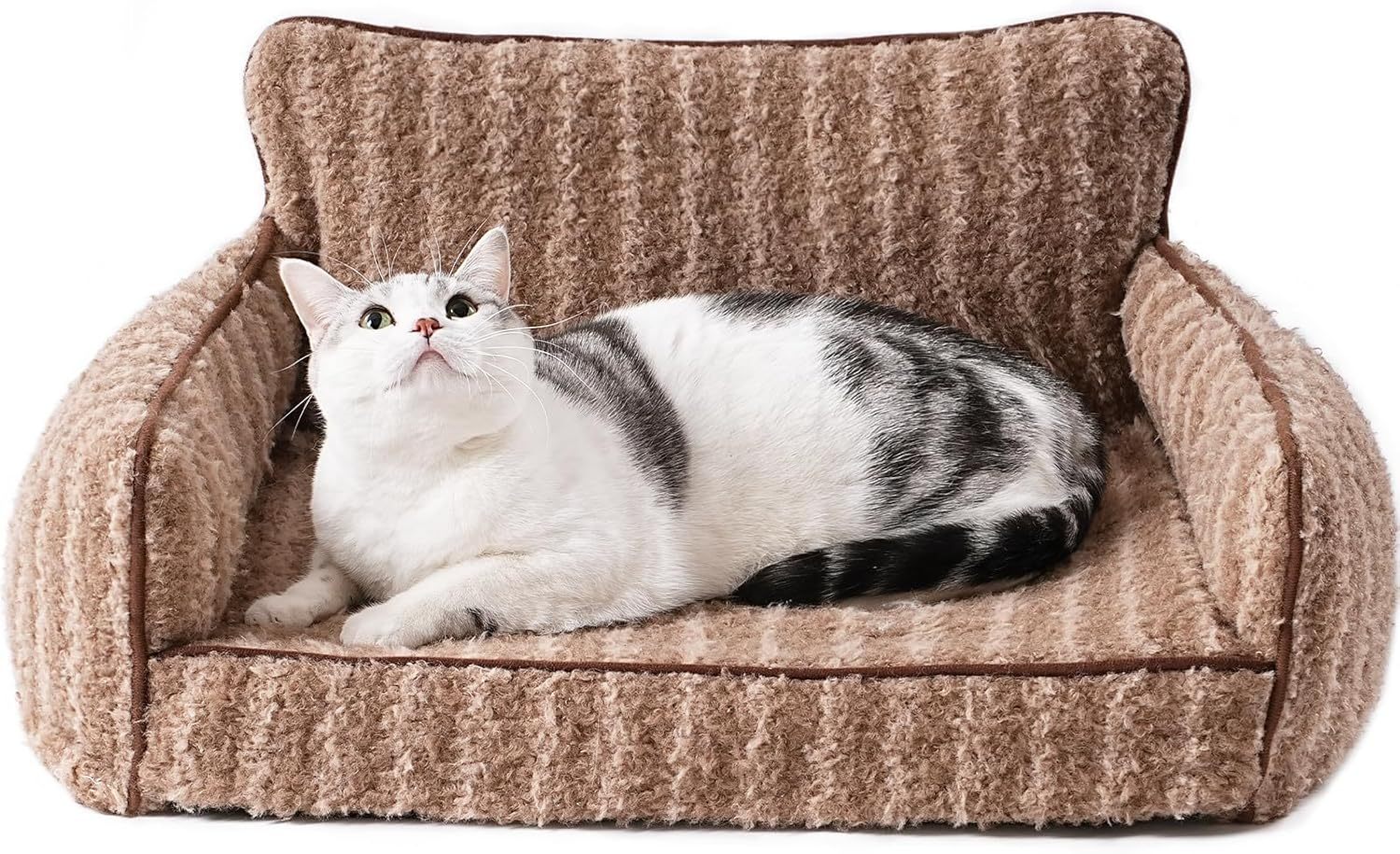 Mewoo Orthopedic Cat Couch For Indoor Cats